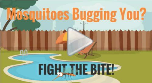 Dress Down to Stock Up!