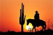 Sunset with cactus & cowboy on horse silhouette.
