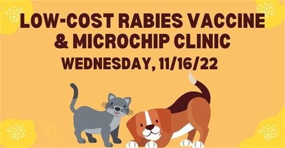 Low-cost rabies vaccine & microchip clinic!
