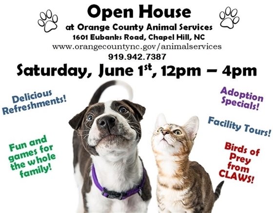 Open House 2019