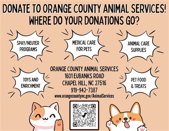 Donate to help shelter pets!