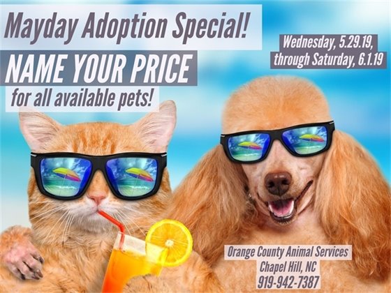 Mayday Adoption Special