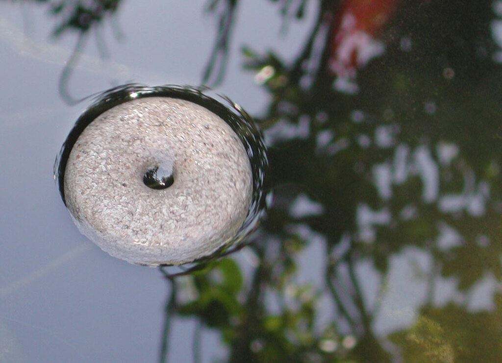 This is a mosquito dunk or donut floating in water.