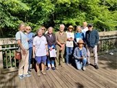 Walking participants 