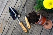 Garden tool set, pot, soil and flower.