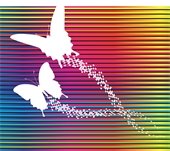 white butterflies in flight