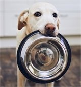 Donate food to help community pets