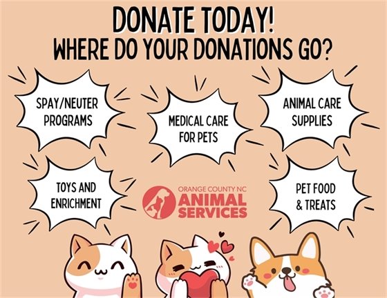 Donate to help shelter pets