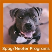 Spay and Neuter Programs