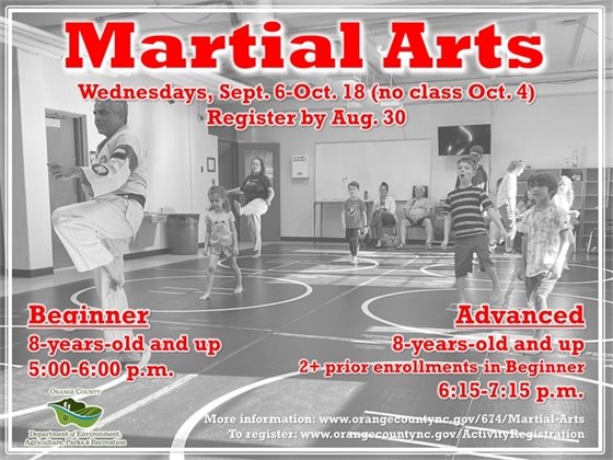 Martial Arts - ages 8-years-old and up