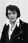 Elvis Pressley