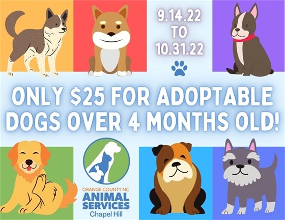 Dog Adoption Special at OCAS!