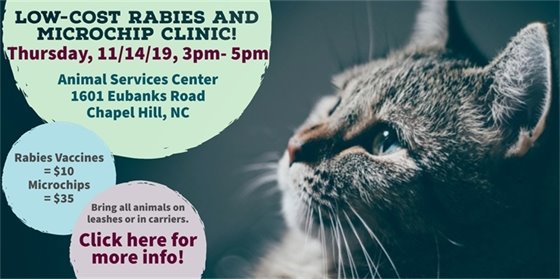 Low-cost rabies clinic