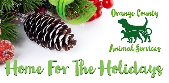 Home For The Holidays