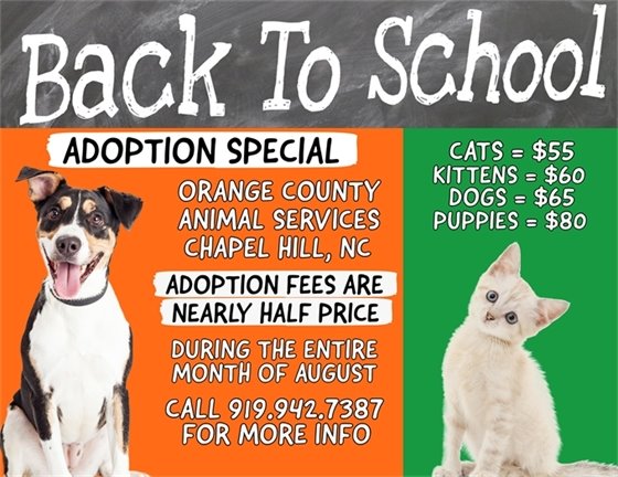 Back To School Adoption Special