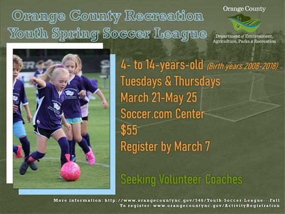 Youth Soccer League - ages 4-14 (birth years 2008-2018)