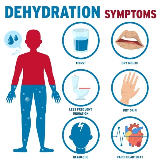 dehydration symptoms: thirst, dry mouth, less frequent urination, dry skin, headache, rapid heartbeat