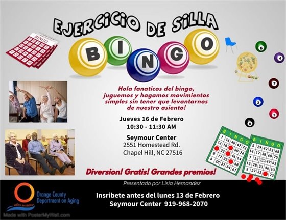 Exercicio de Silla BINGO