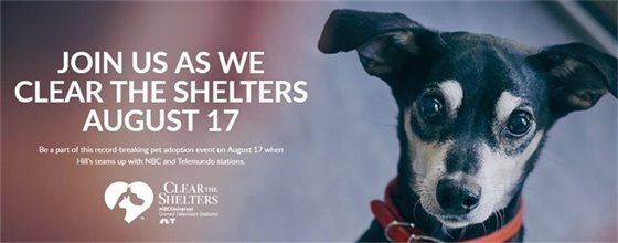 Clear The Shelters