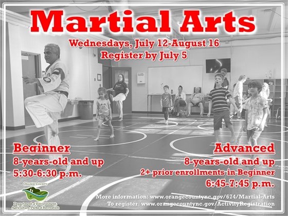 Martial Arts - ages 4-years-old and up
