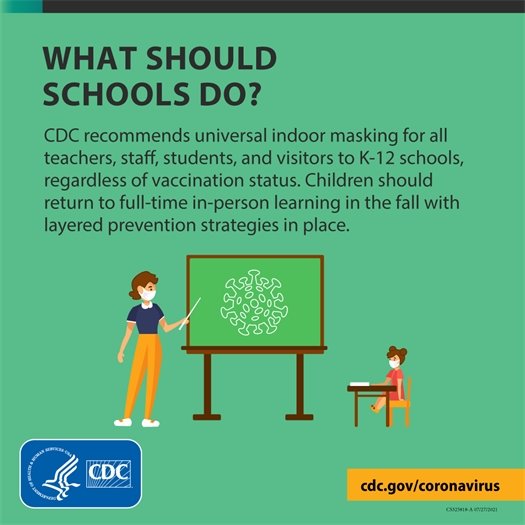 What should schools do?