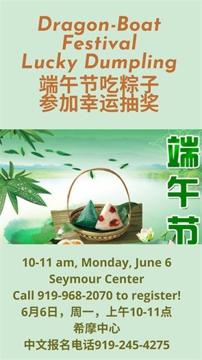 Dragon Boat Festival Lucky Dumpling