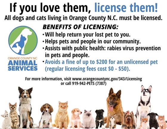 License Your Pet!