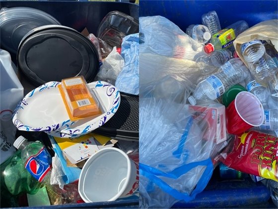 contamination pictures 2