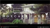 Boxcarr Farms