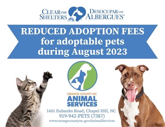 Clear the Shelters graphic