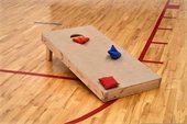 Cornhole board/bags