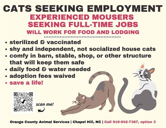 Adopt a Working Barn Cat