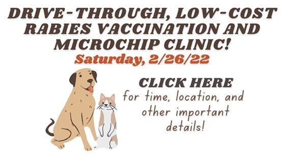Low-Cost Rabies Vaccination Clinic