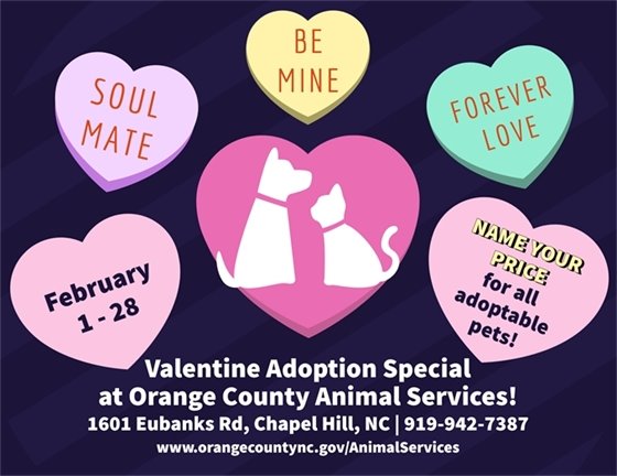 Valentine Adoption Special