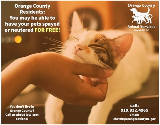 Spay and Neuter Services