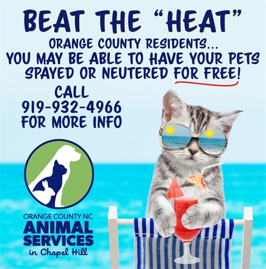 Spay and Neuter Programs