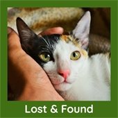 Lost & Found Pets