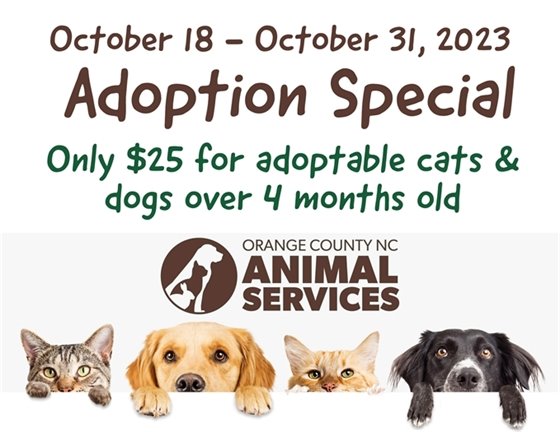 Adoption Special At Animal Services