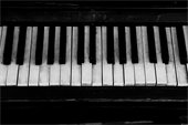 Piano - Organ Keyboard