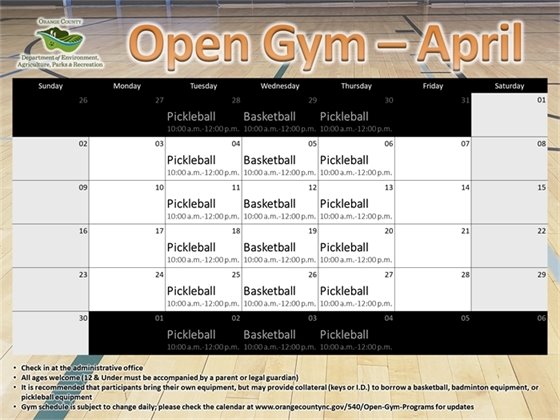 Open Gym