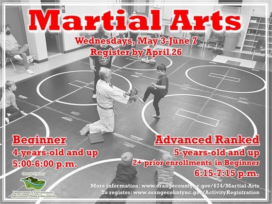 Martial Arts - ages 4-years-old and up