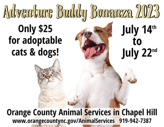 Adoption Special at Animal Services in Chapel Hill!