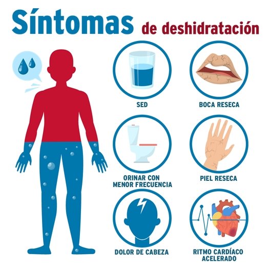 sintomas de deshidratacion: sed, boca reseca, orinar con menor frecuencia, piel reseca, dolor de cabeza, ritmo cardiaco acelerado