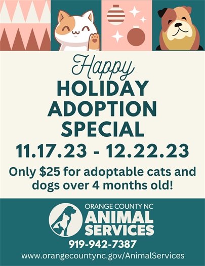 Holiday Adoption Special at Animal Services