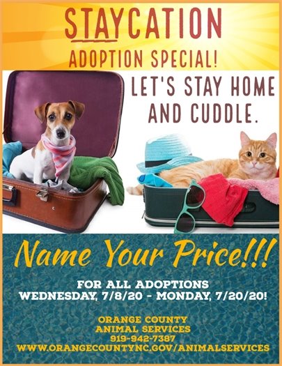 Orange County Animal Services Staycation Adoption Special