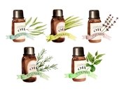 Essential oils clipart