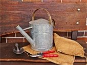 Watering Can - Gardening Tools