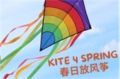 kite in the air - "Kite 4 Spring"