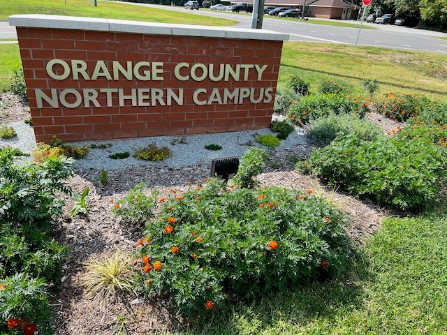 Bonnie B Davis garden