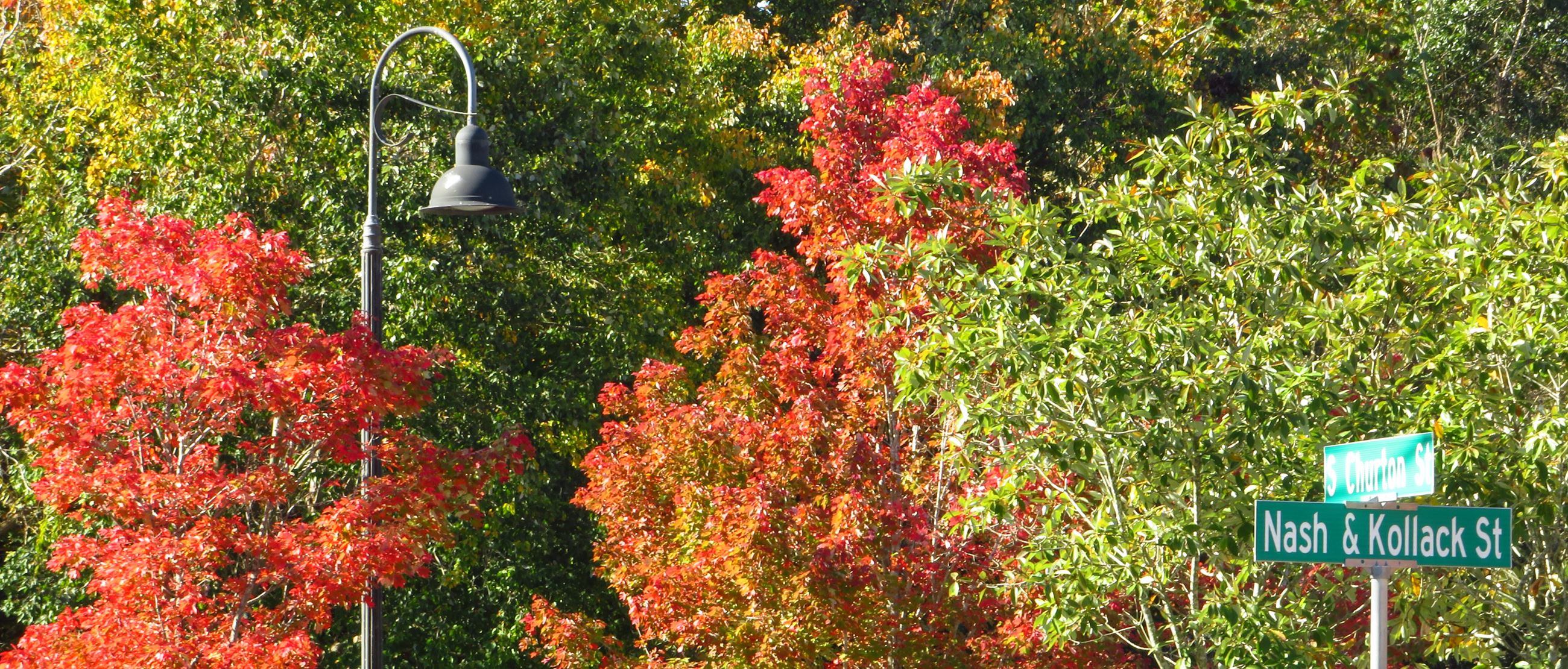 photo of Nash and Kollack St Sign
